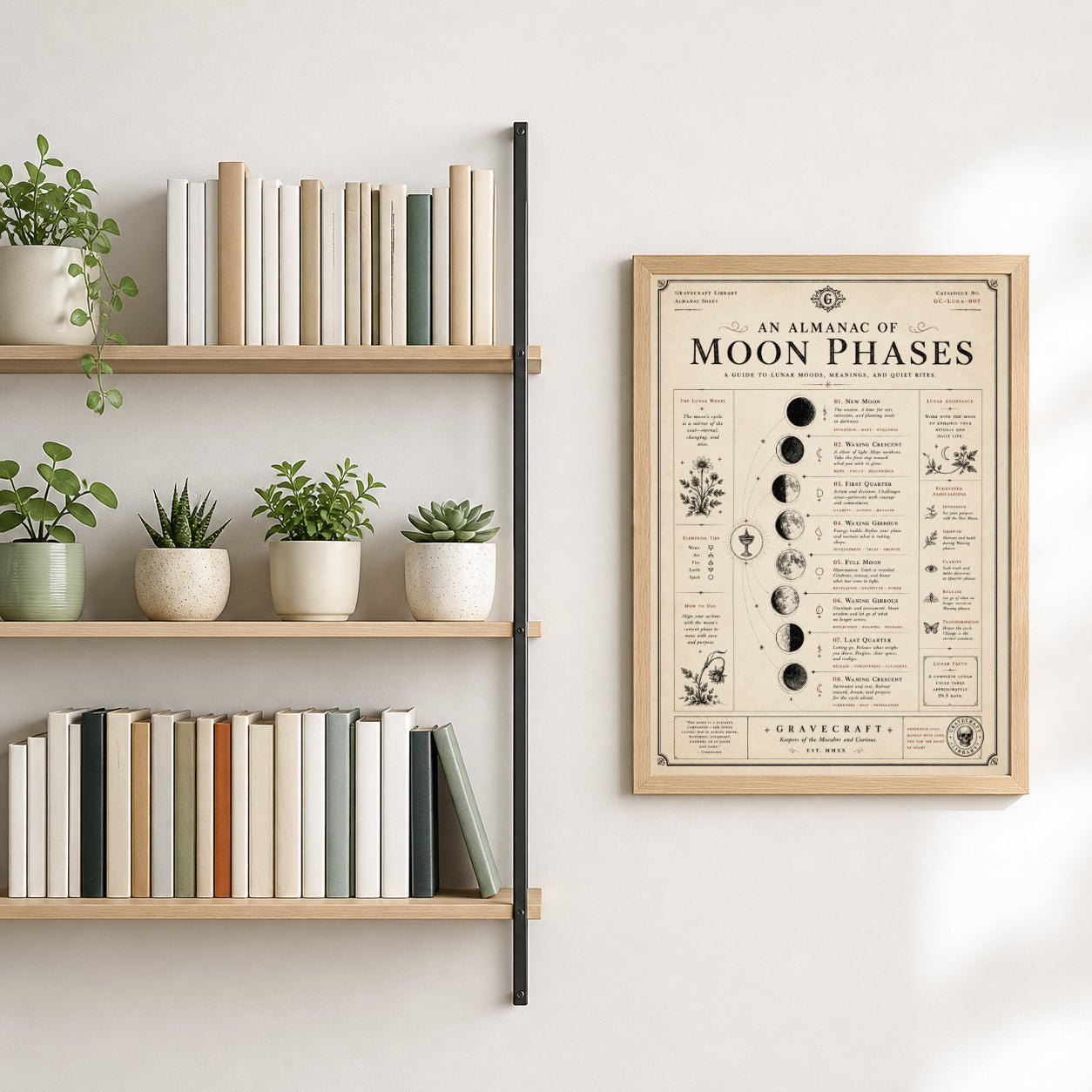 Shelves with books and plants next to a framed poster of moon phases on a wall.