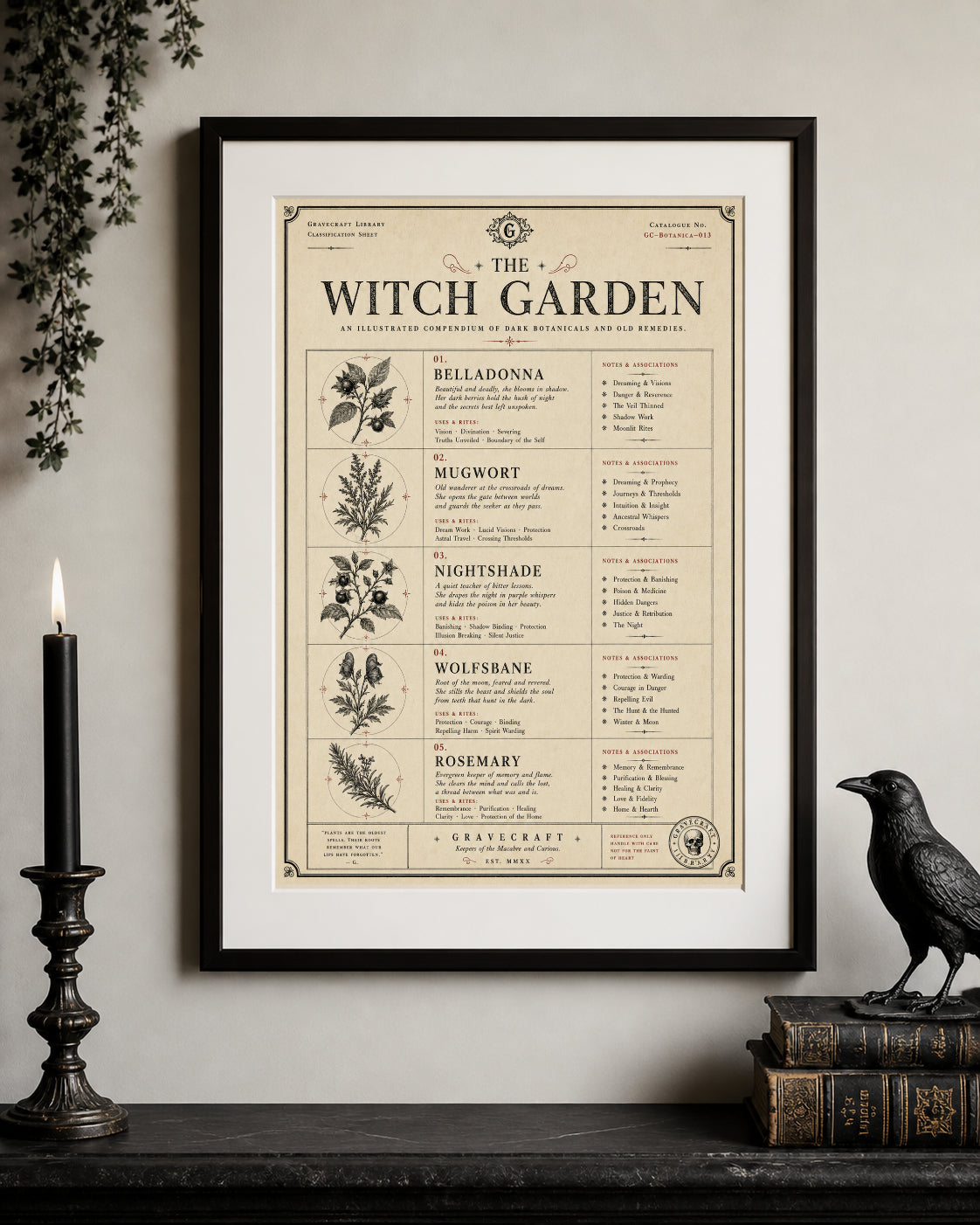 Witches Garden plants print in frame
