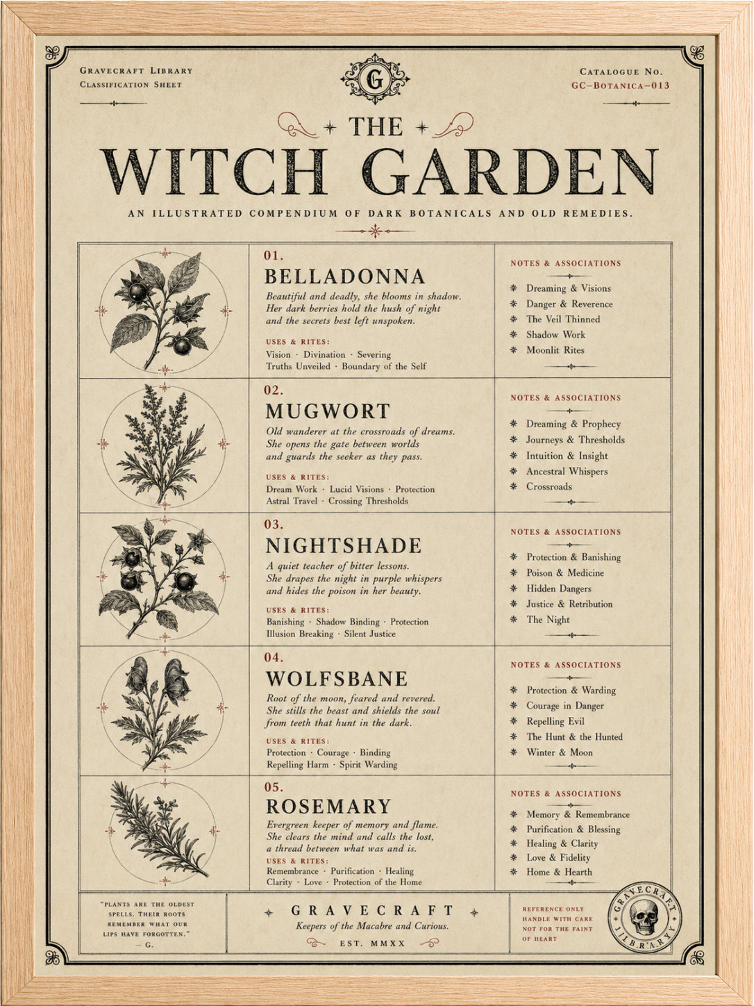 Witches Garden plants print in frame